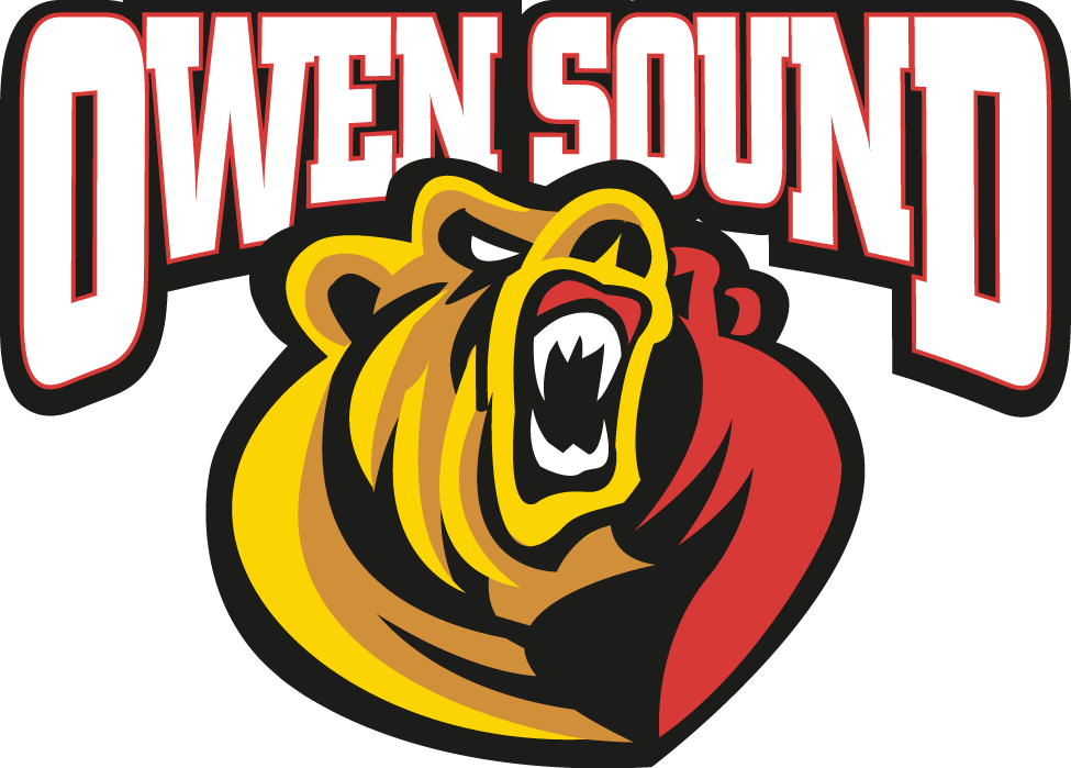 Owen Sound Attack 2011 12-Pres Primary Logo vinyl decal